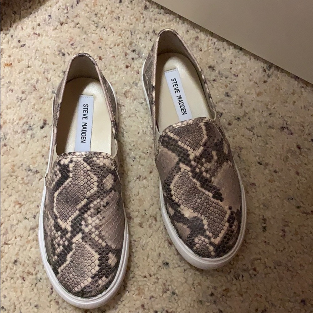 Steve Madden SYMBA SLIP-ON SNEAKER in snakeskin